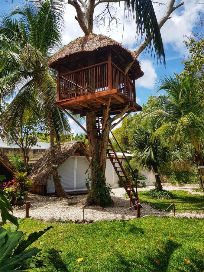 El Buho Bacalar Eco-Cabanas Hostal Exterior foto